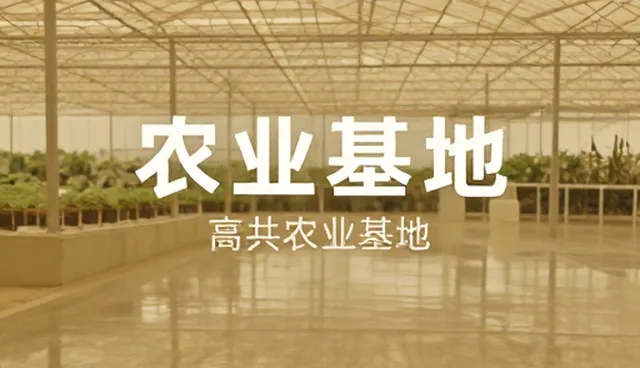内容策划选型关注点：品牌传播适用情况与限制